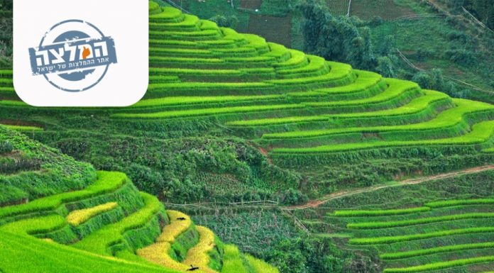וייטנאם – סאפה: בין שדות האורז