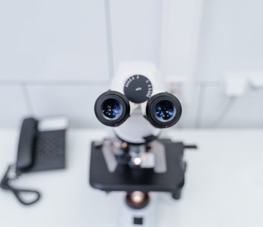 בדיקת חומצות אורגניות בשתן