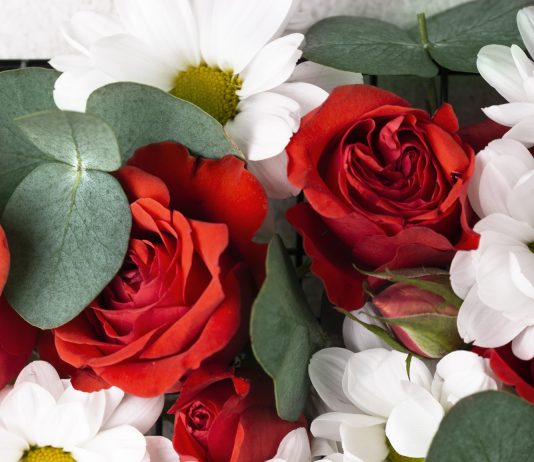 באר שבע חנות פרחים