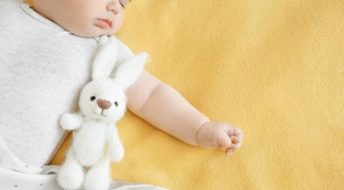 פתרון מושלם להאכלה נוחה ובטוחה